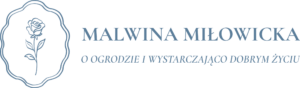 logo blue