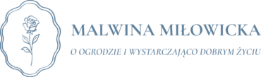 logo blue